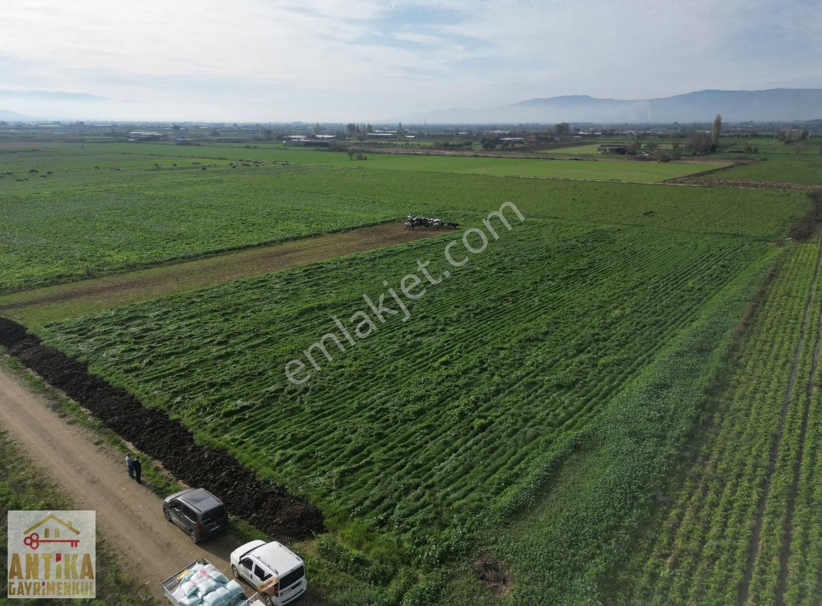 Antika Gayrimenkulden Yölüstü Mahallesinde Satılık 7663 M² Tarla - Görsel 13