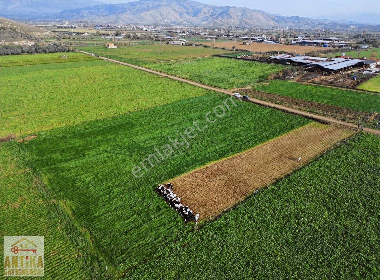 Antika Gayrimenkulden Yölüstü Mahallesinde Satılık 7663 M² Tarla - Görsel 16