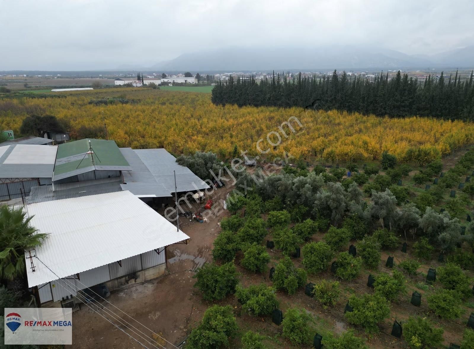 Döşemealtı'nda 17.326m² Tek Hisseli Tarımsal Tesis Alanı - Görsel 3