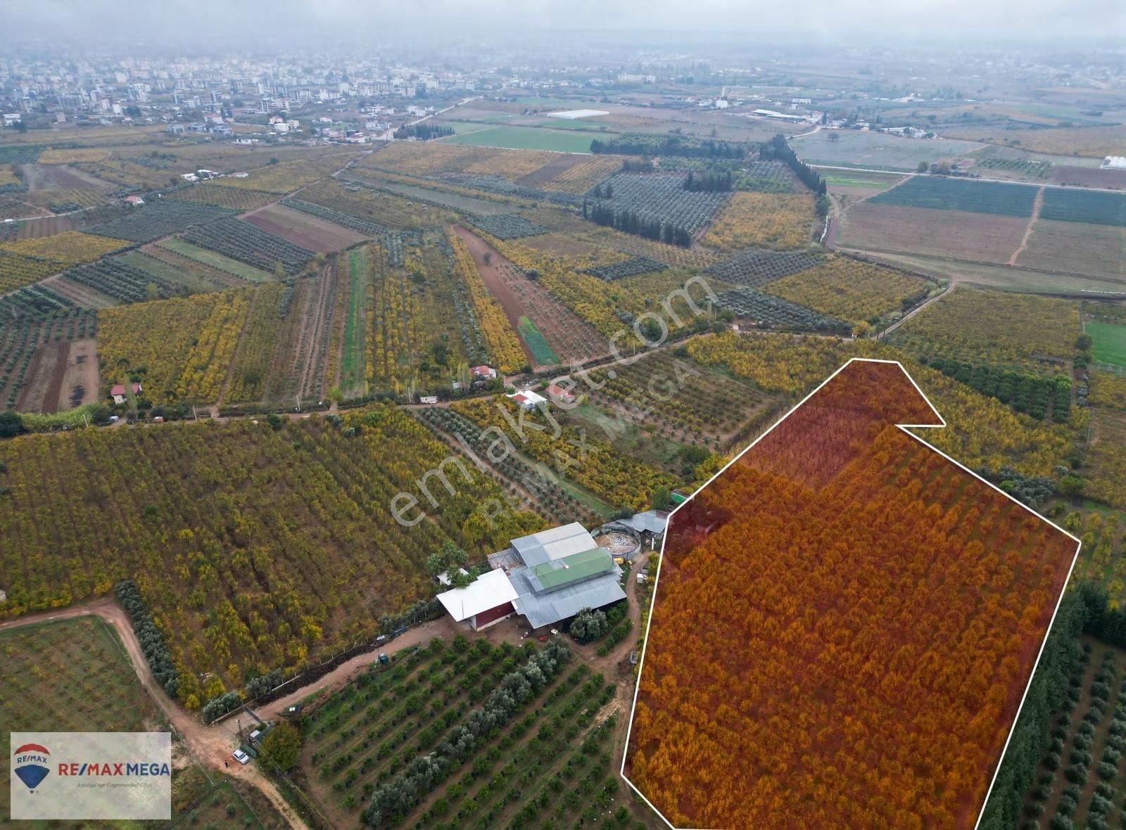 Döşemealtı'nda 17.326m² Tek Hisseli Tarımsal Tesis Alanı - Görsel 6