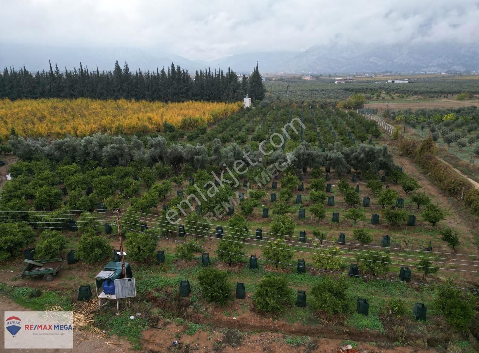 Döşemealtı'nda 17.326m² Tek Hisseli Tarımsal Tesis Alanı - Görsel 11