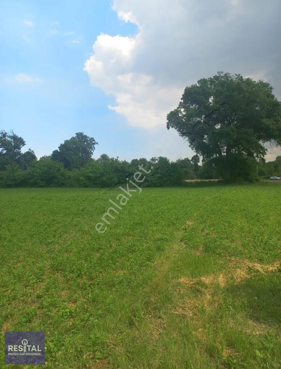 Rs Mutlu Alaaddinbey De Satılık 4075 M2 Resmi Yolu Olan Arazi - Görsel 5