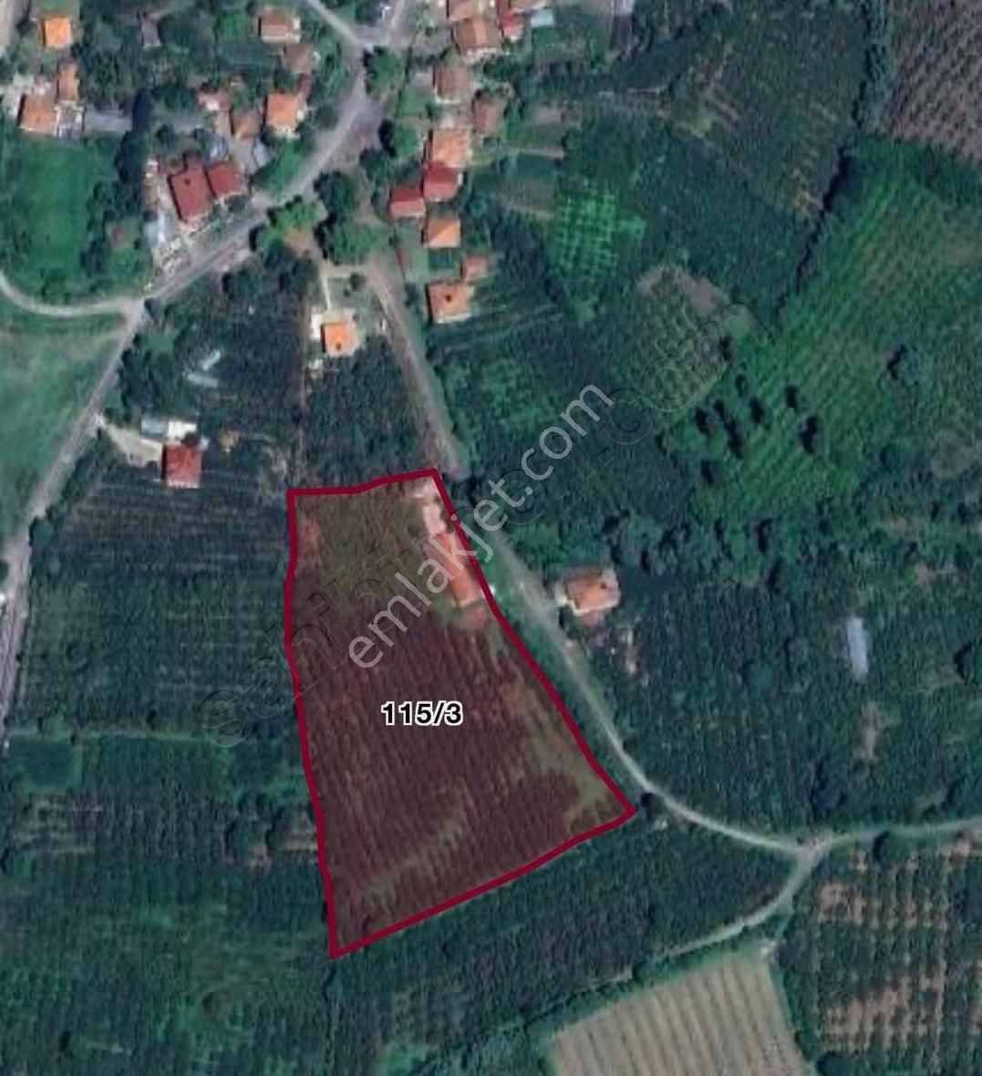 Yukarı Donurlu Köyünde Satılık Fırsat Arsa - Görsel 2