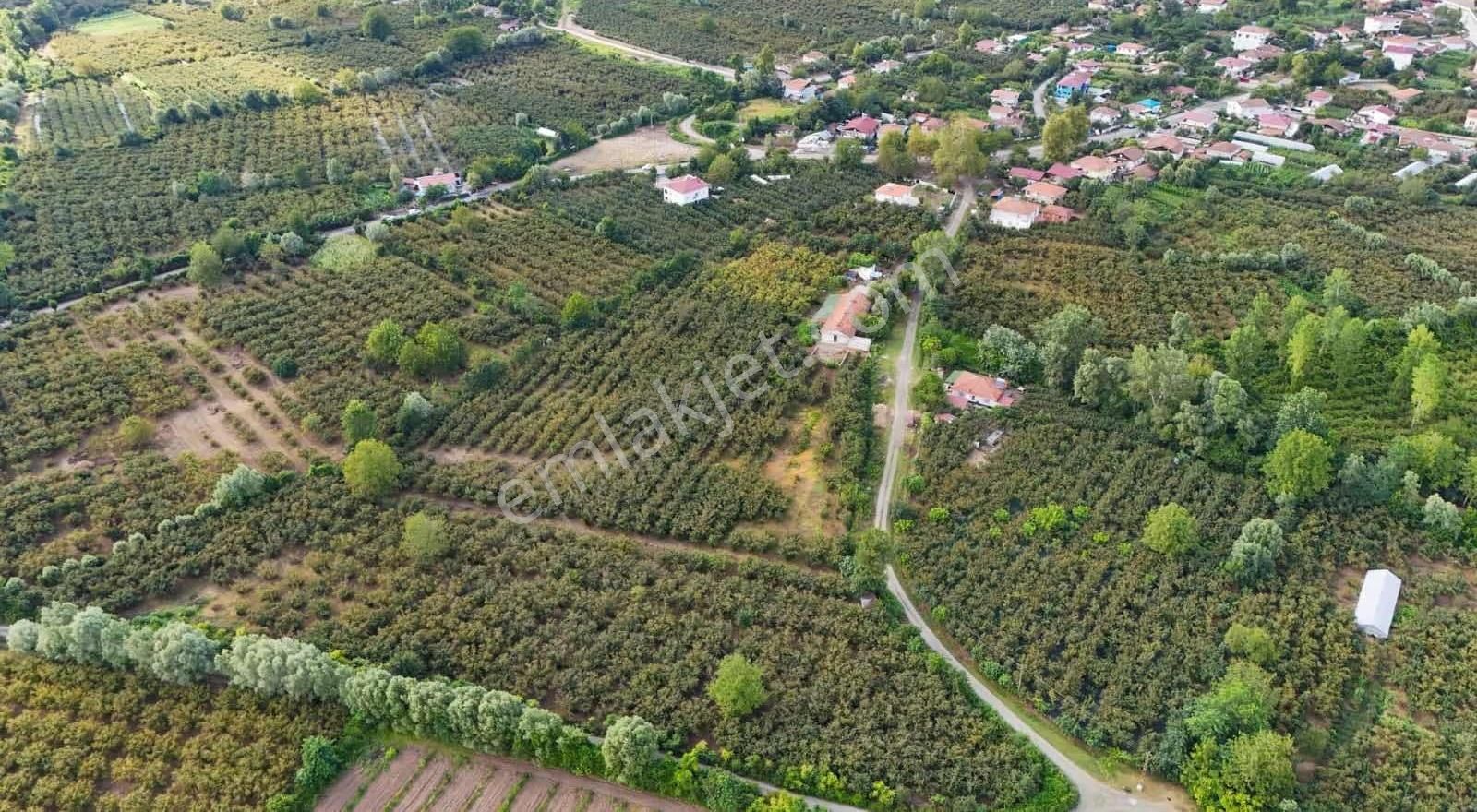 Yukarı Donurlu Köyünde Satılık Fırsat Arsa - Görsel 3