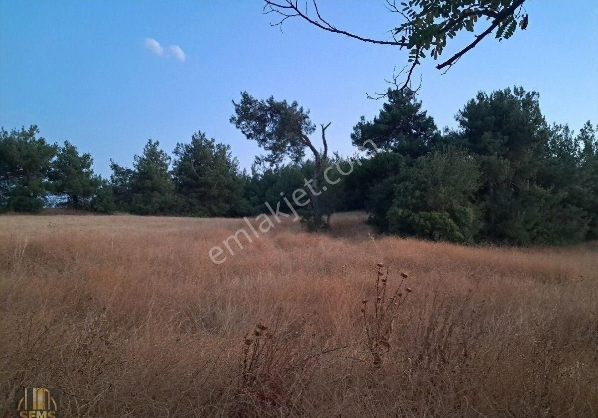 Şems Gayrimenkulden Ebeköyde Bahçe - Görsel 2