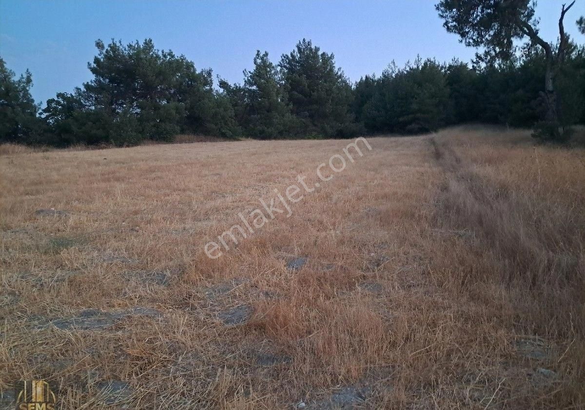 Ebeköy'de Manzaralı Bahçe - Görsel 3