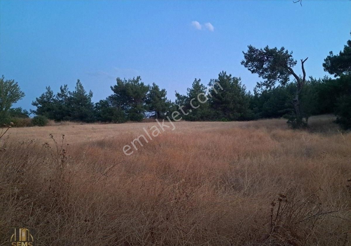 Ebeköy'de Manzaralı Bahçe - Görsel 10