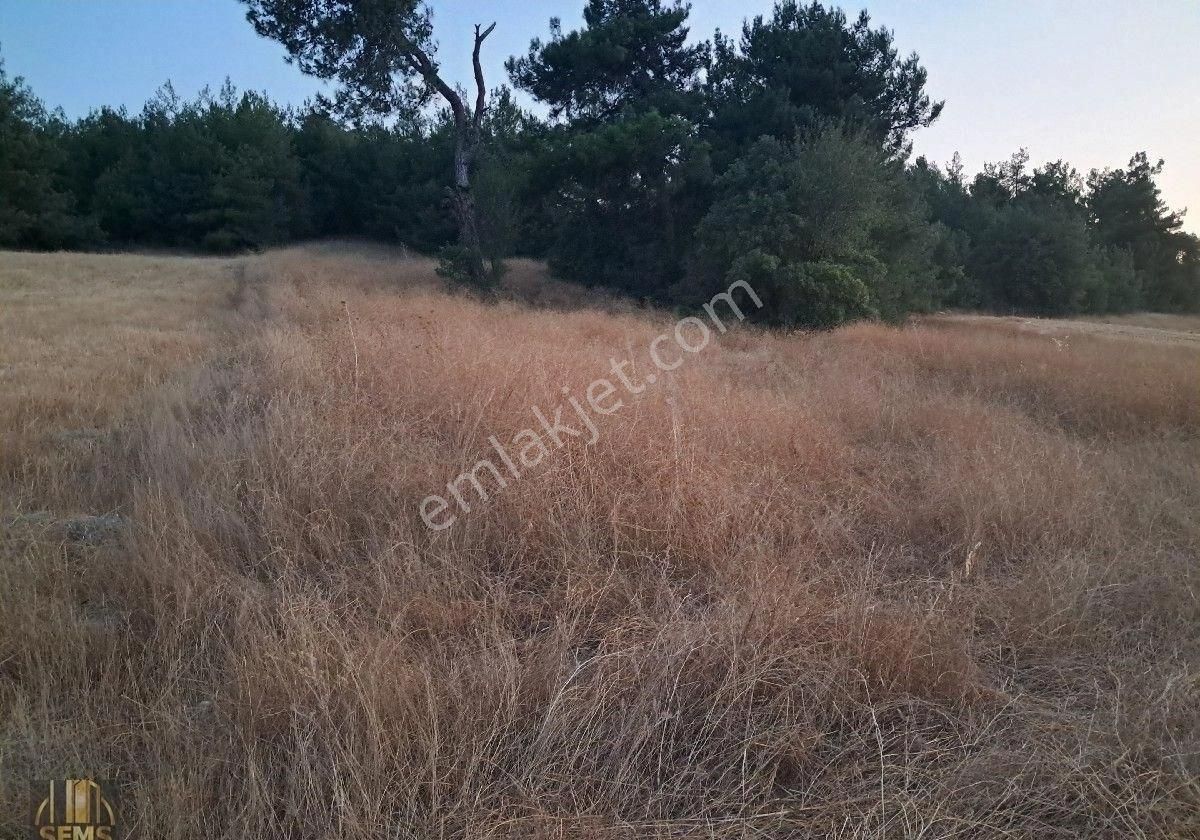 Ebeköy'de Manzaralı Bahçe - Görsel 8