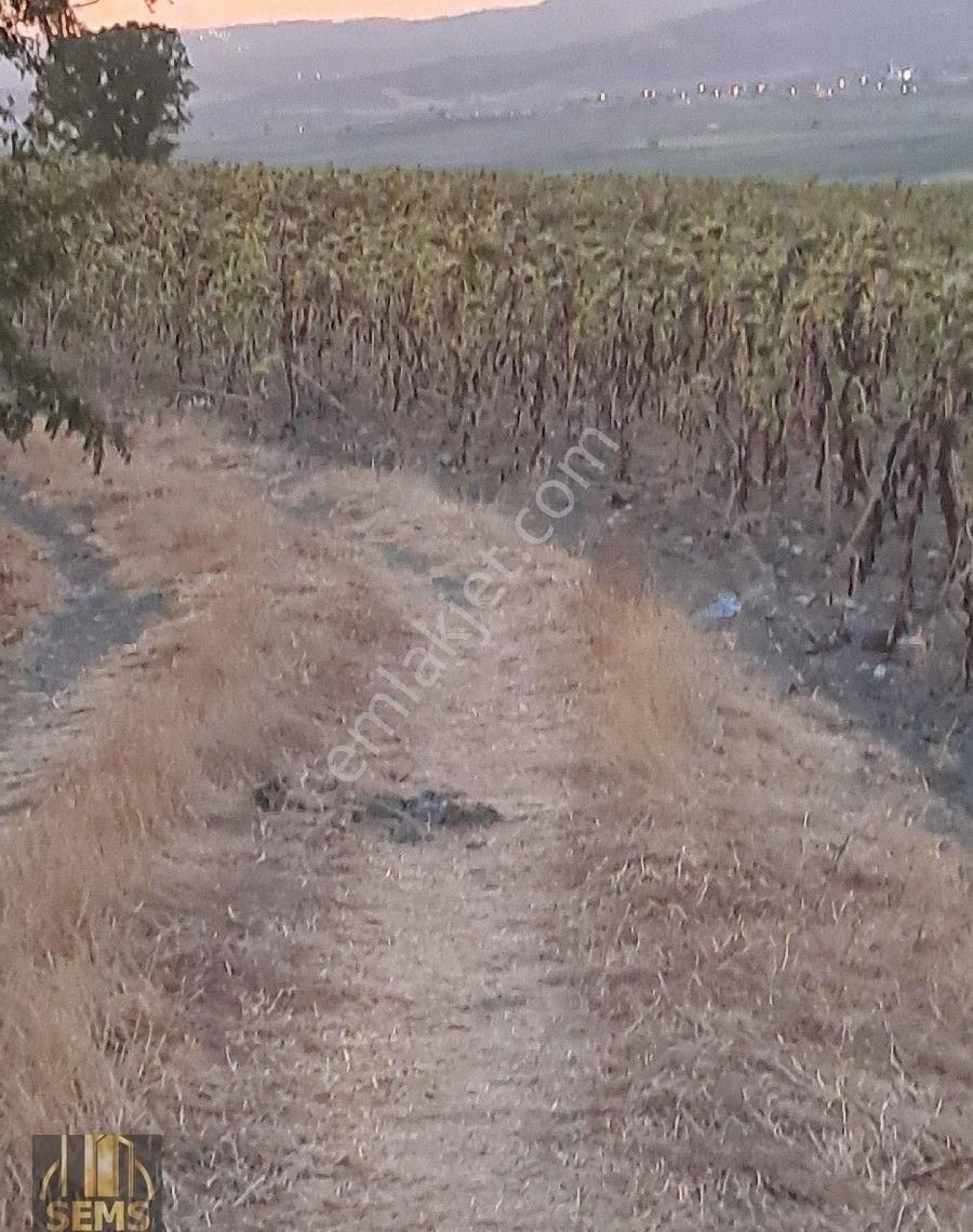 Ebeköy'de Manzaralı Bahçe