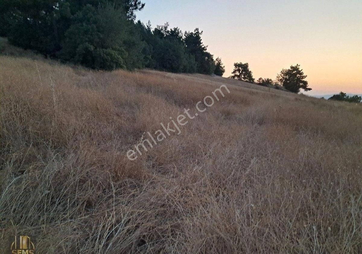 Ebeköy'de Manzaralı Bahçe - Görsel 7