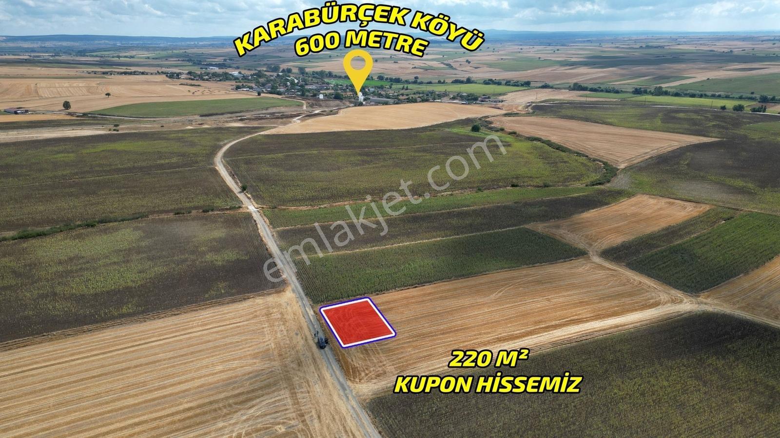 ꧁╚ *fırsat ╣ Resmi Kadastro Yoluna Cephe ╠ Çok Uygun Arazi꧂ - Görsel 4