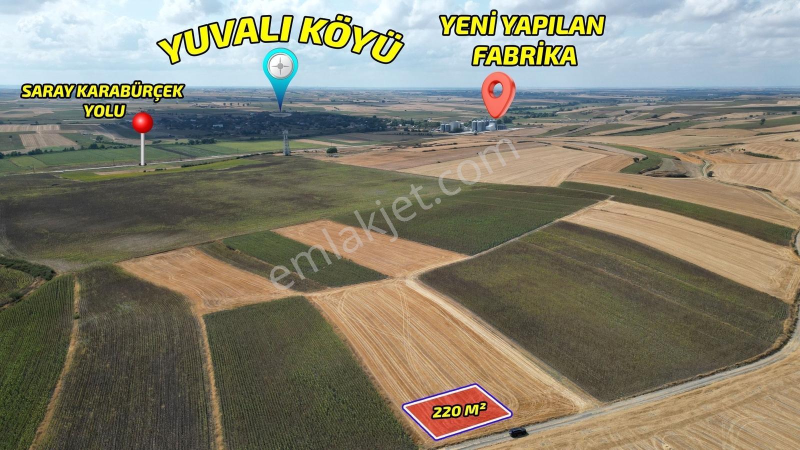 ꧁╚ *fırsat ╣ Resmi Kadastro Yoluna Cephe ╠ Çok Uygun Arazi꧂ - Görsel 29