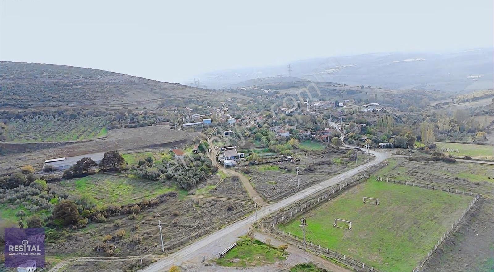 Karacabey Kıranlar Yol Üstü 8750m2 Satılık Zeytinlik - Görsel 3