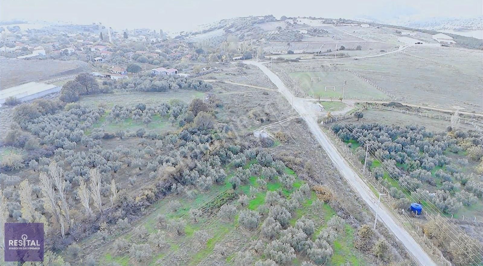 Karacabey Kıranlar Yol Üstü 8750m2 Satılık Zeytinlik - Görsel 4
