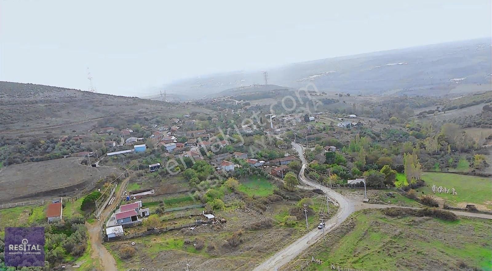 Karacabey Kıranlar Yol Üstü 8750m2 Satılık Zeytinlik - Görsel 5