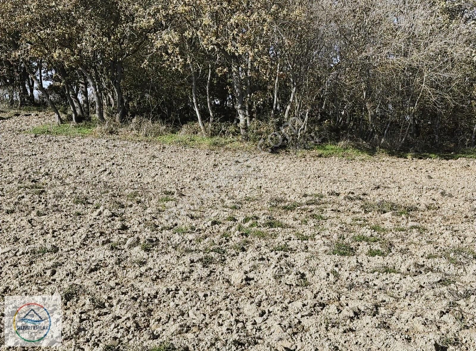 Büyükçavuşlu Otoban Yanı Çok Değerli Lokasyon Satılık Arsa - Görsel 21