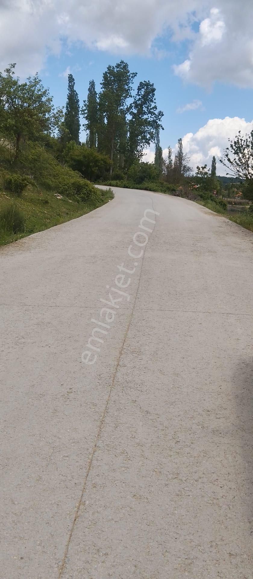 Balcity'den Çanakkale Yenice 5 Dönüm İmar Dibinde Arsa Vasfında Bahçe!! - Görsel 21