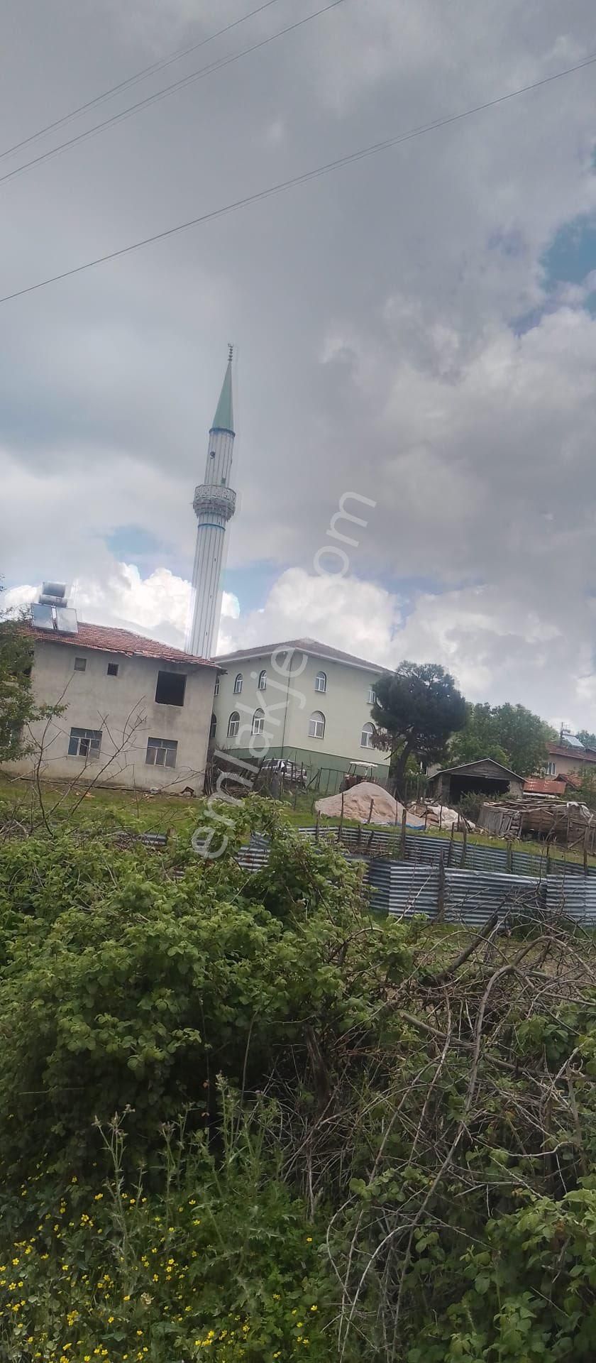 Balcity'den Çanakkale Yenice 5 Dönüm İmar Dibinde Arsa Vasfında Bahçe!! - Görsel 19