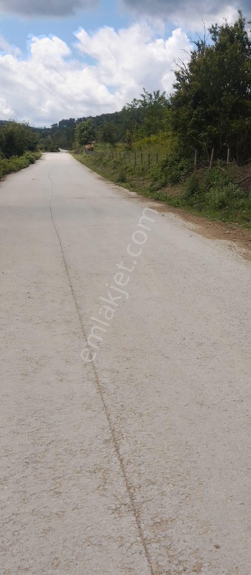 Balcity'den Çanakkale Yenice 5 Dönüm İmar Dibinde Arsa Vasfında Bahçe!! - Görsel 20