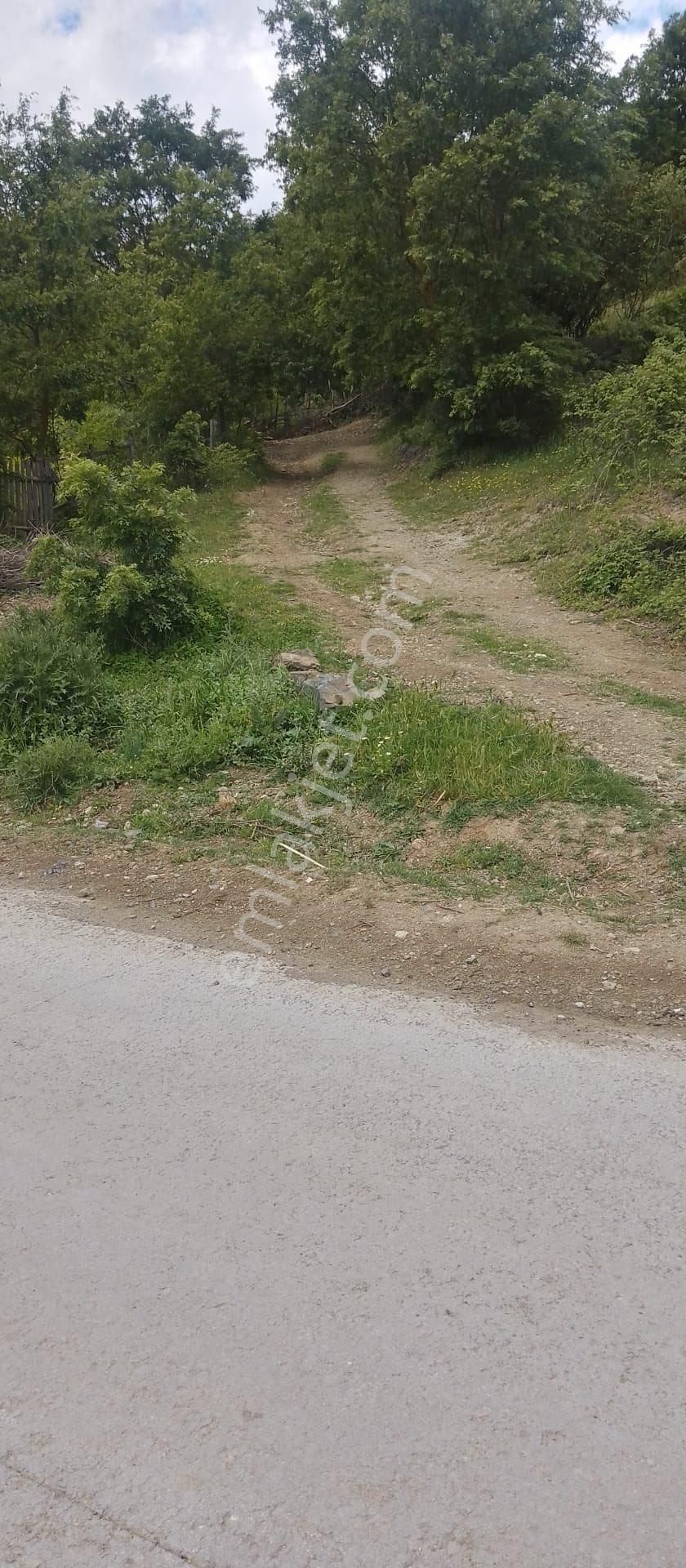 Balcity'den Çanakkale Yenice 5 Dönüm İmar Dibinde Arsa Vasfında Bahçe!! - Görsel 15