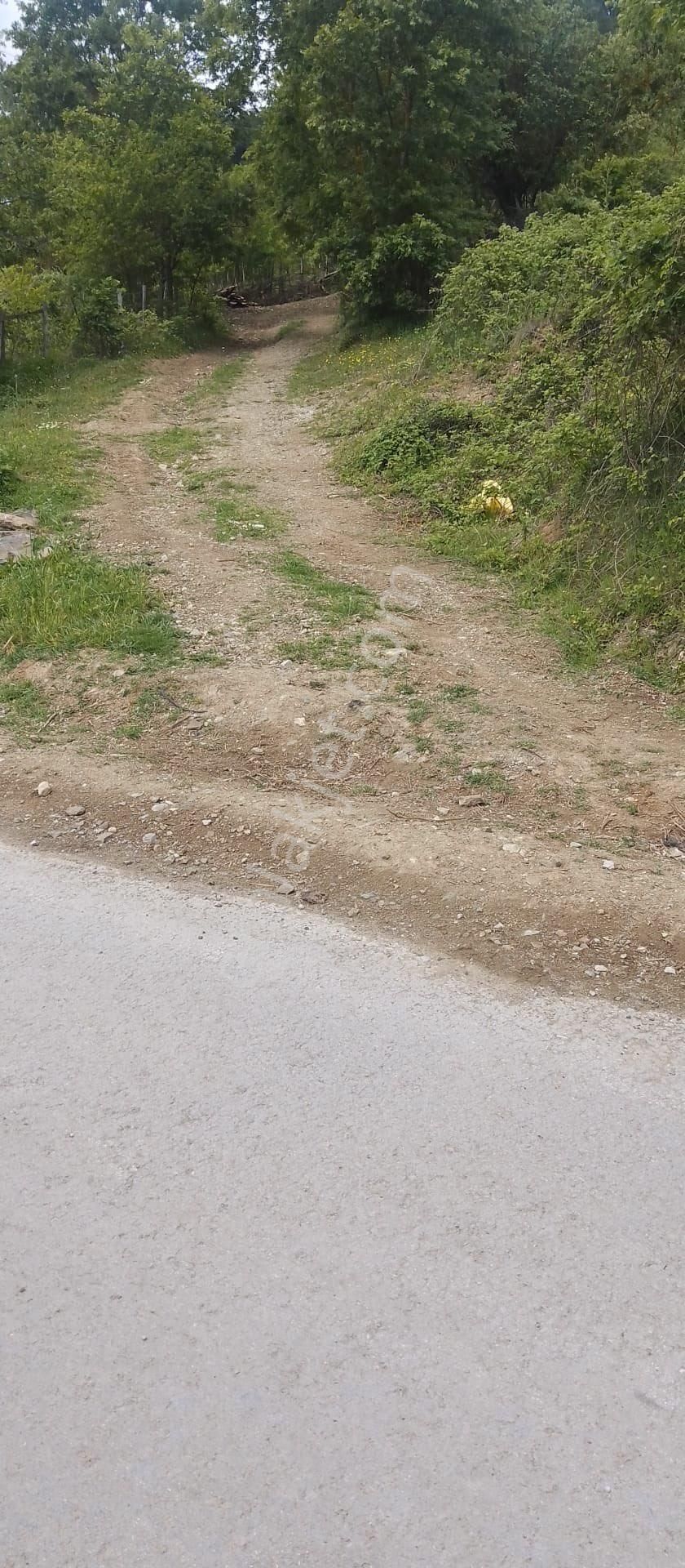 Balcity'den Çanakkale Yenice 5 Dönüm İmar Dibinde Arsa Vasfında Bahçe!! - Görsel 16