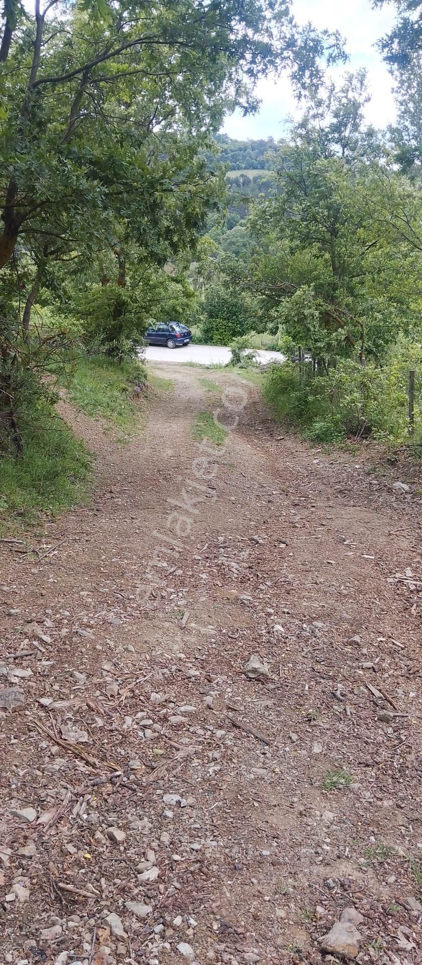 Balcity'den Çanakkale Yenice 5 Dönüm İmar Dibinde Arsa Vasfında Bahçe!! - Görsel 14