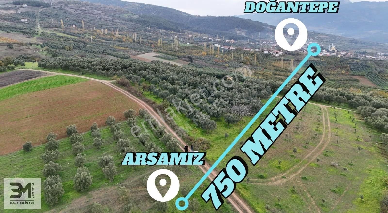 Sakarya Geyve Doğantepe 2820 M2 Zeytinlik Manzaralı Uygun Fırsat - Görsel 6