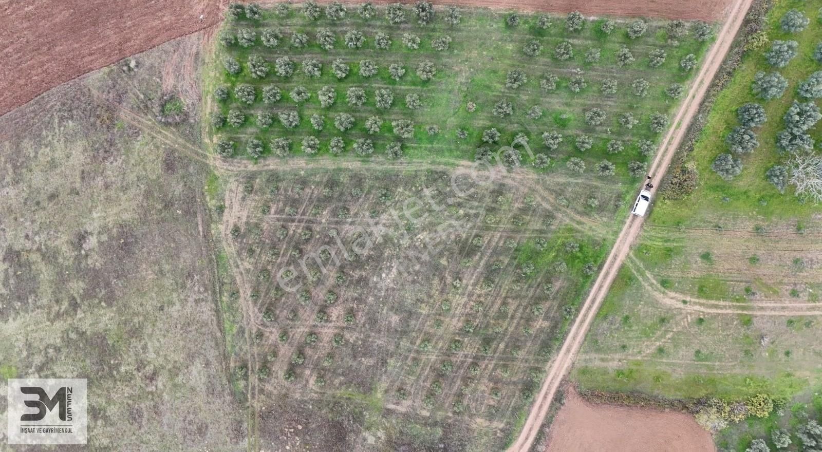 Sakarya Geyve Doğantepe 2820 M2 Zeytinlik Manzaralı Uygun Fırsat - Görsel 2