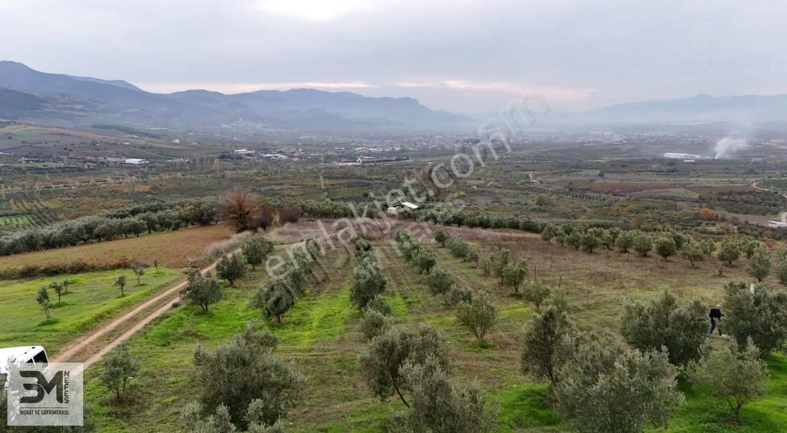 Sakarya Geyve Doğantepe 2820 M2 Zeytinlik Manzaralı Uygun Fırsat - Görsel 33