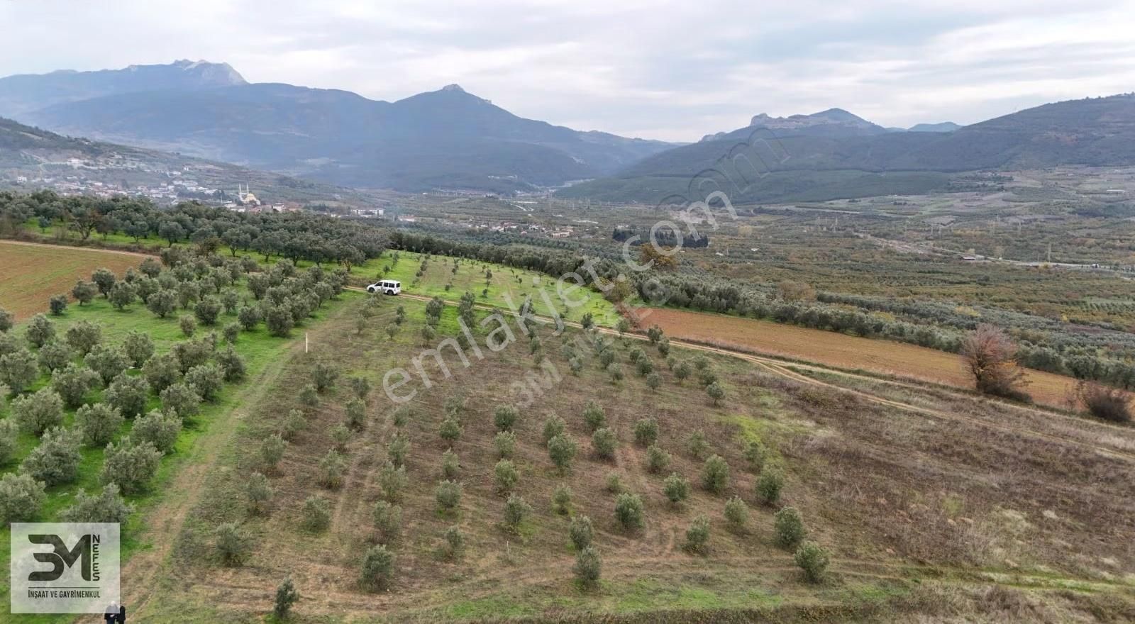 Sakarya Geyve Doğantepe 2820 M2 Zeytinlik Manzaralı Uygun Fırsat - Görsel 13
