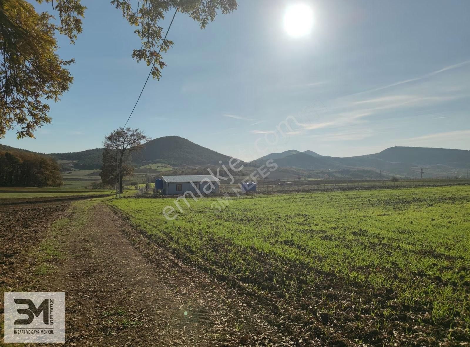 Sakarya Geyve Çine 5669 M2 Elektrik Su Resmi Yol Uygun Fırsat - Görsel 20