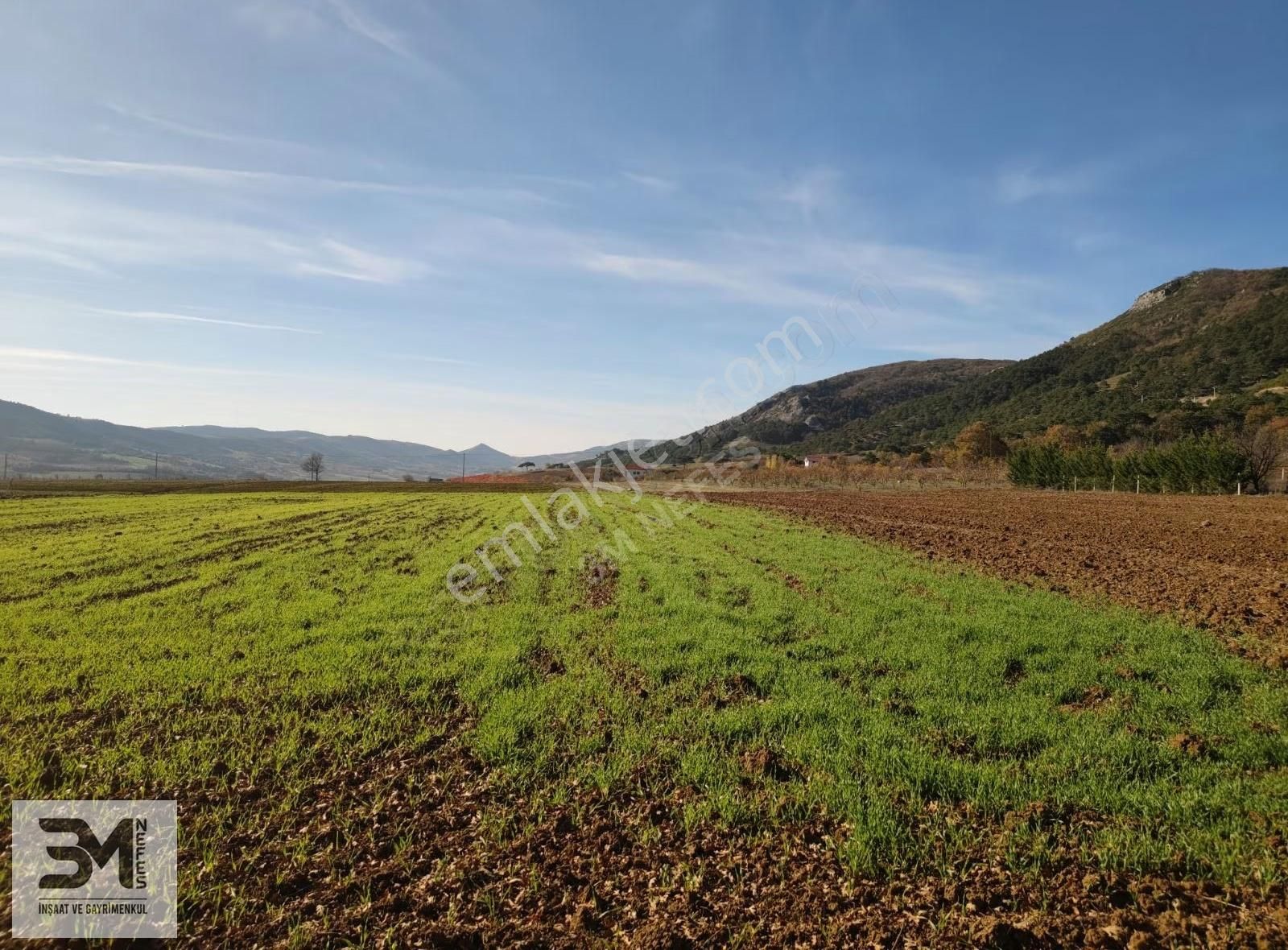 Sakarya Geyve Çine 5669 M2 Elektrik Su Resmi Yol Uygun Fırsat - Görsel 13