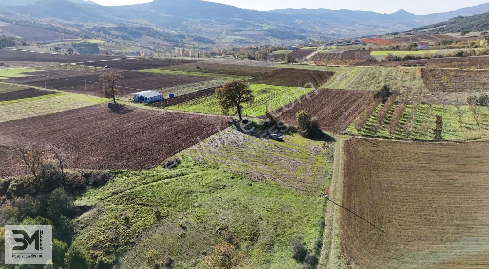 Sakarya Geyve Çine 5669 M2 Elektrik Su Resmi Yol Uygun Fırsat - Görsel 30