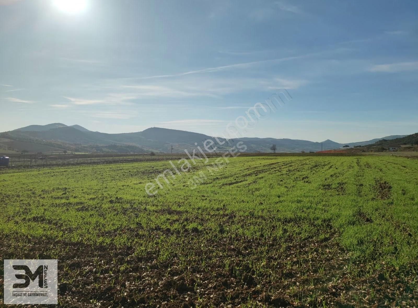 Sakarya Geyve Çine 5669 M2 Elektrik Su Resmi Yol Uygun Fırsat - Görsel 21