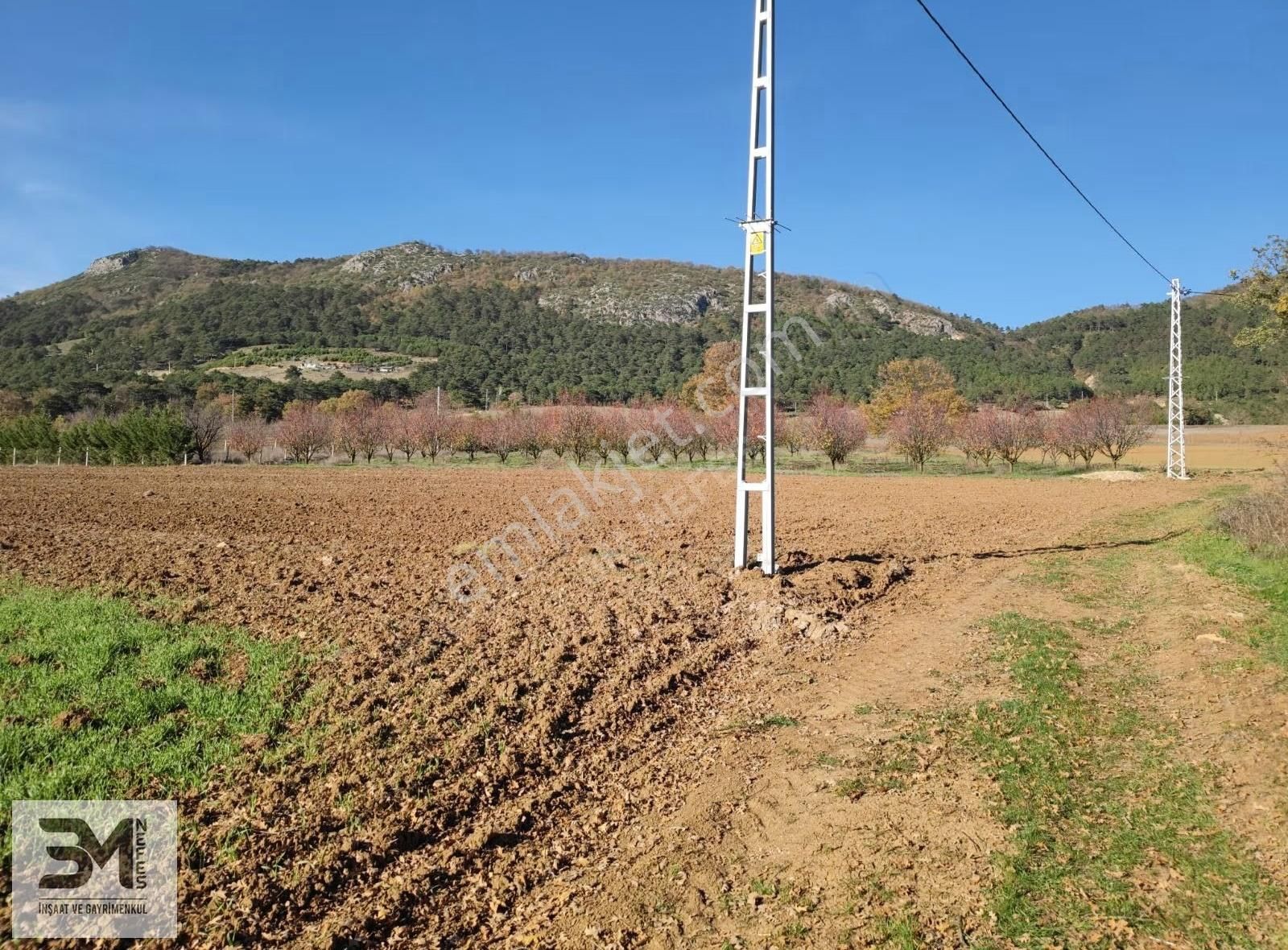 Sakarya Geyve Çine 5669 M2 Elektrik Su Resmi Yol Uygun Fırsat - Görsel 33