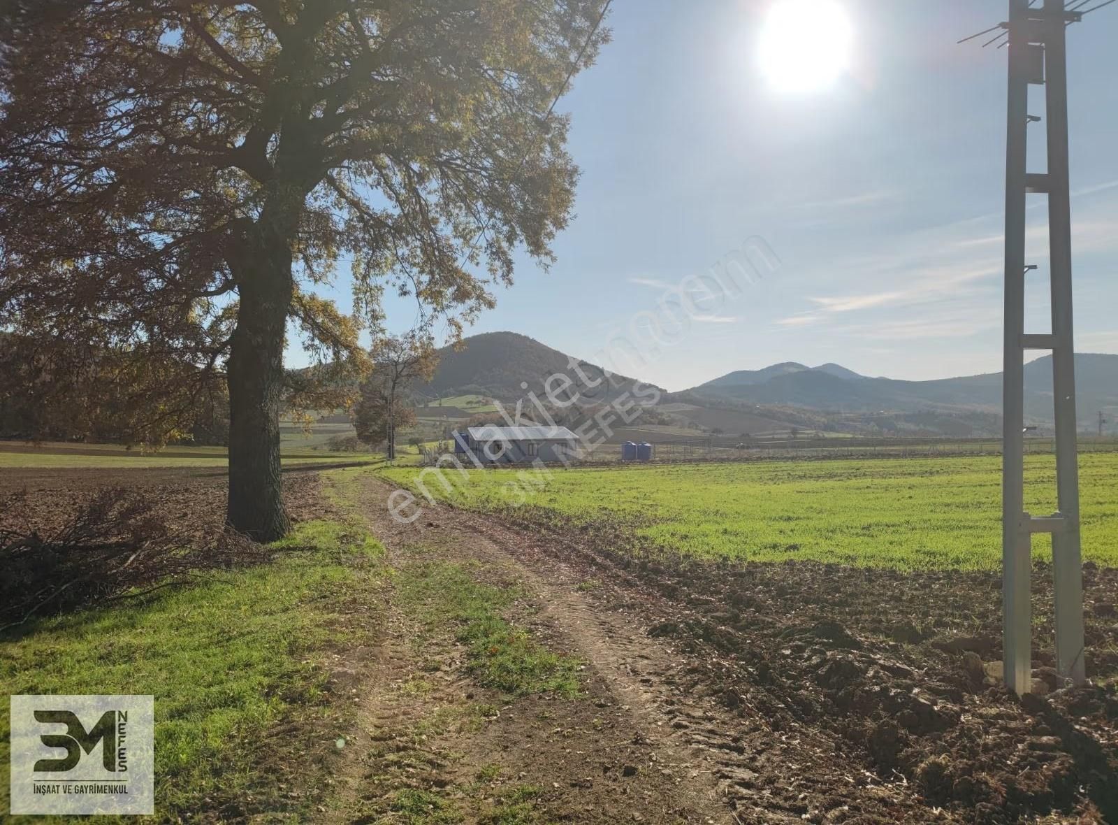 Sakarya Geyve Çine 5669 M2 Elektrik Su Resmi Yol Uygun Fırsat - Görsel 3