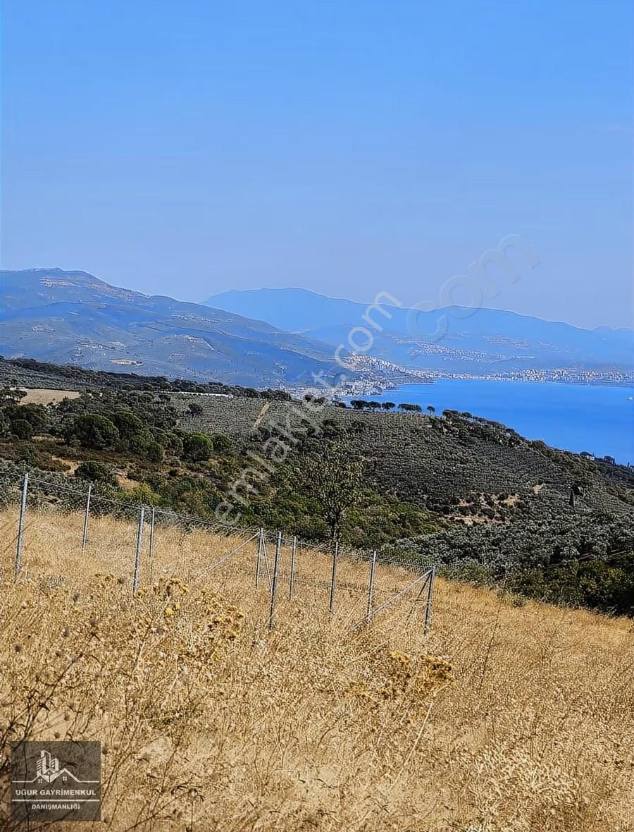 Uğur Gayrimenkul'den Karacaali'de Yatırımlık Satılık Tarla - Görsel 2