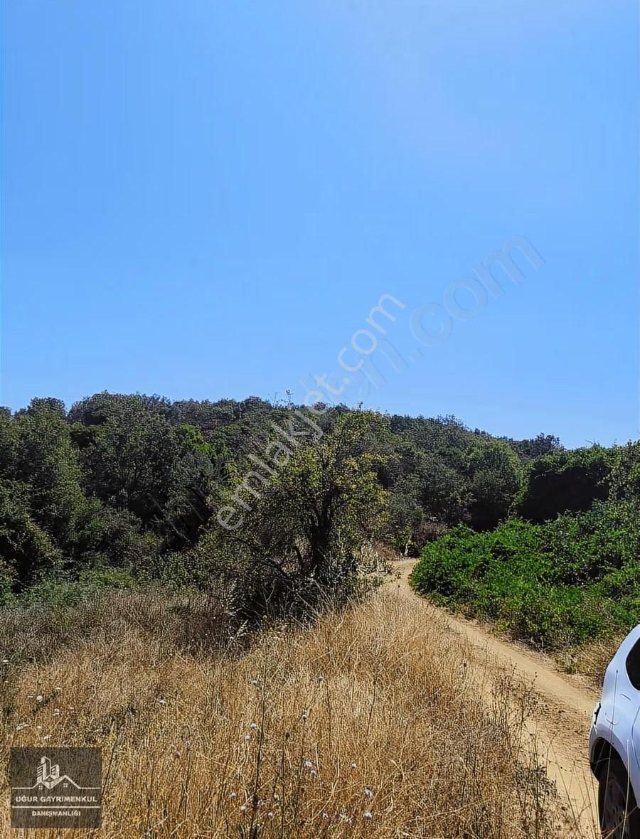 Uğur Gayrimenkul'den Karacaali'de Yatırımlık Satılık Tarla - Görsel 16