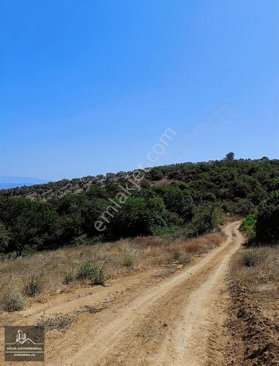 Uğur Gayrimenkul'den Karacaali'de Yatırımlık Satılık Tarla - Görsel 10