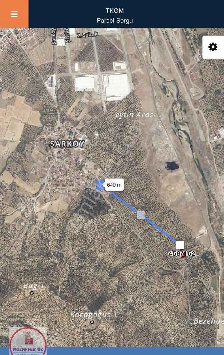 Balcity'den Balıkesir Burhaniye Merkezde Harika Zeytinlik Bahçesi! - Görsel 4