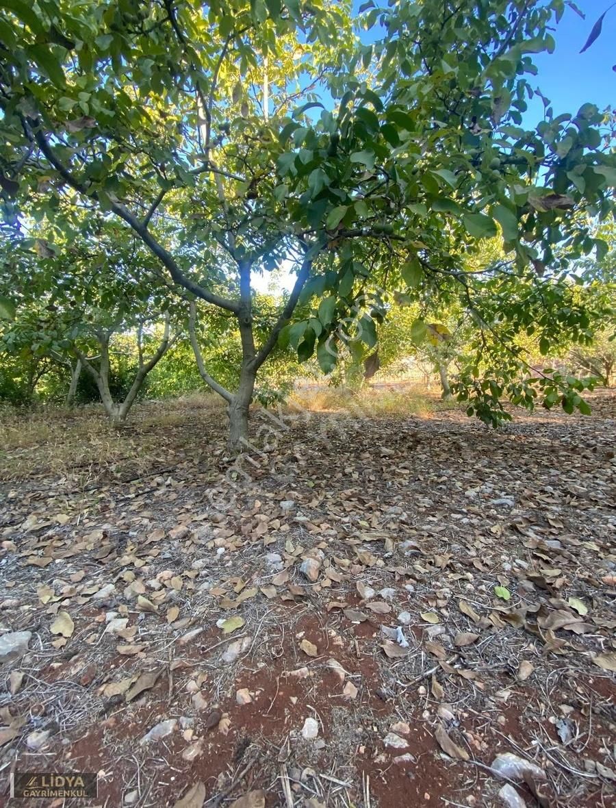 3 Dönüm Arsa Ve Eşyalı Müstakil Daire - Görsel 19