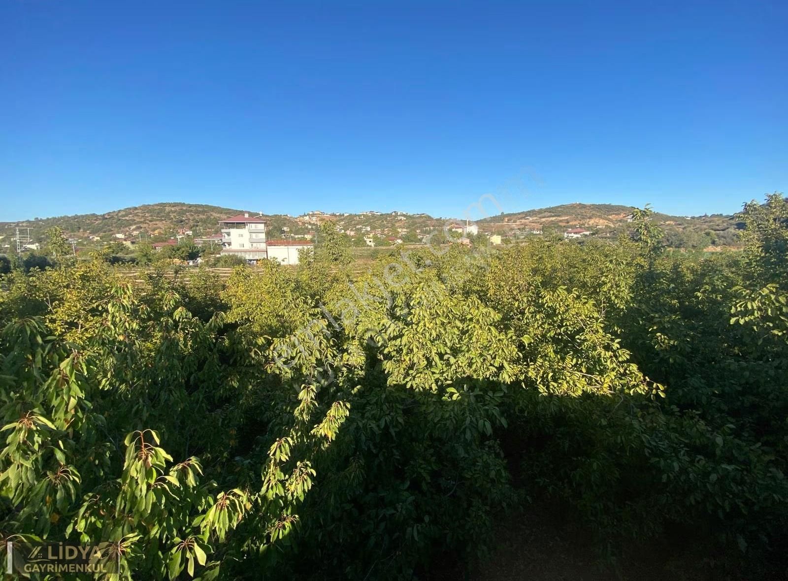 3 Dönüm Arsa Ve Eşyalı Müstakil Daire - Görsel 10