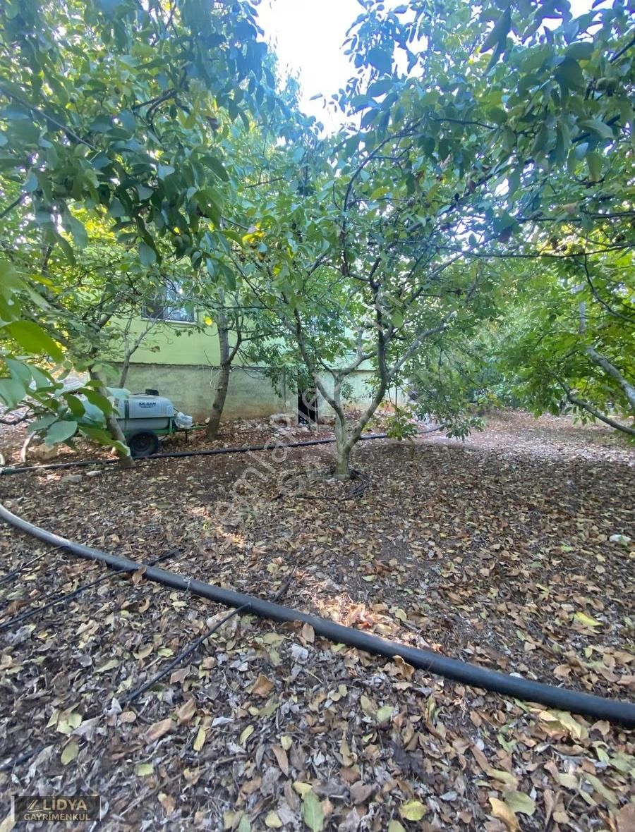 3 Dönüm Arsa Ve Eşyalı Müstakil Daire - Görsel 17