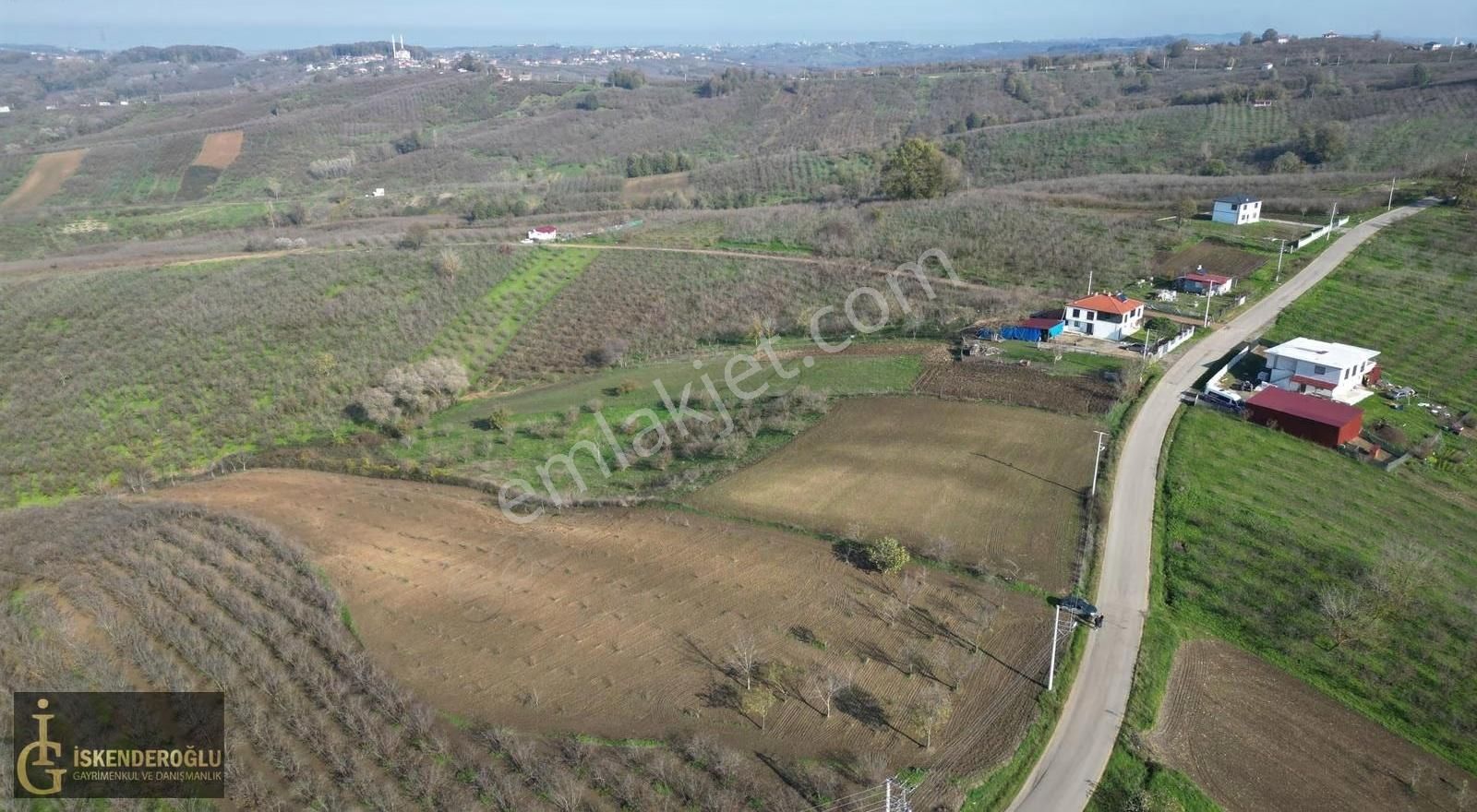 Ferizli Nalköyde Ana Yol Kenarı Satılık Tarla - Görsel 6