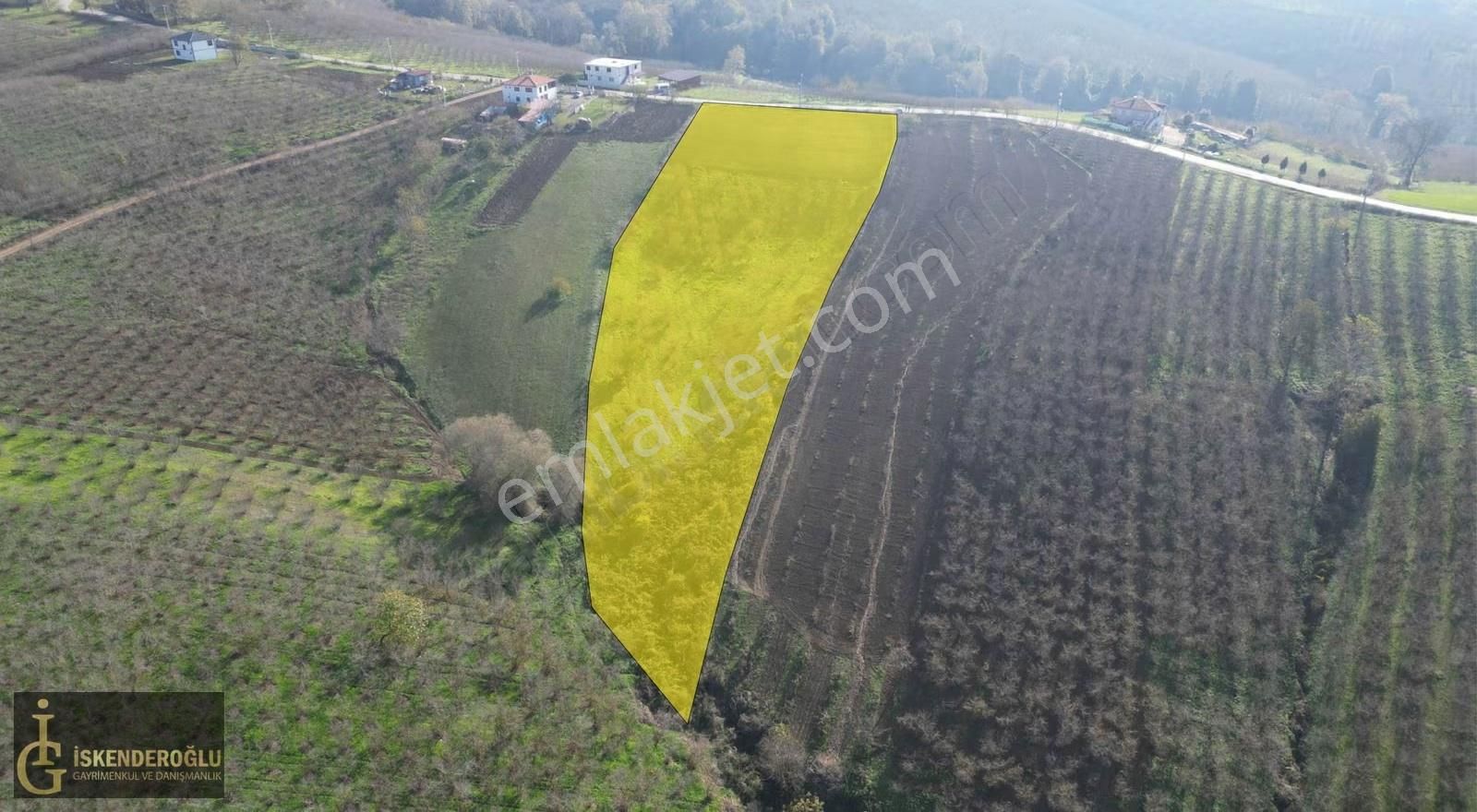 Ferizli Nalköyde Ana Yol Kenarı Satılık Tarla - Görsel 2