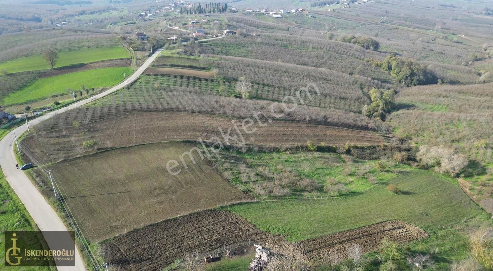Ferizli Nalköyde Ana Yol Kenarı Satılık Tarla - Görsel 14