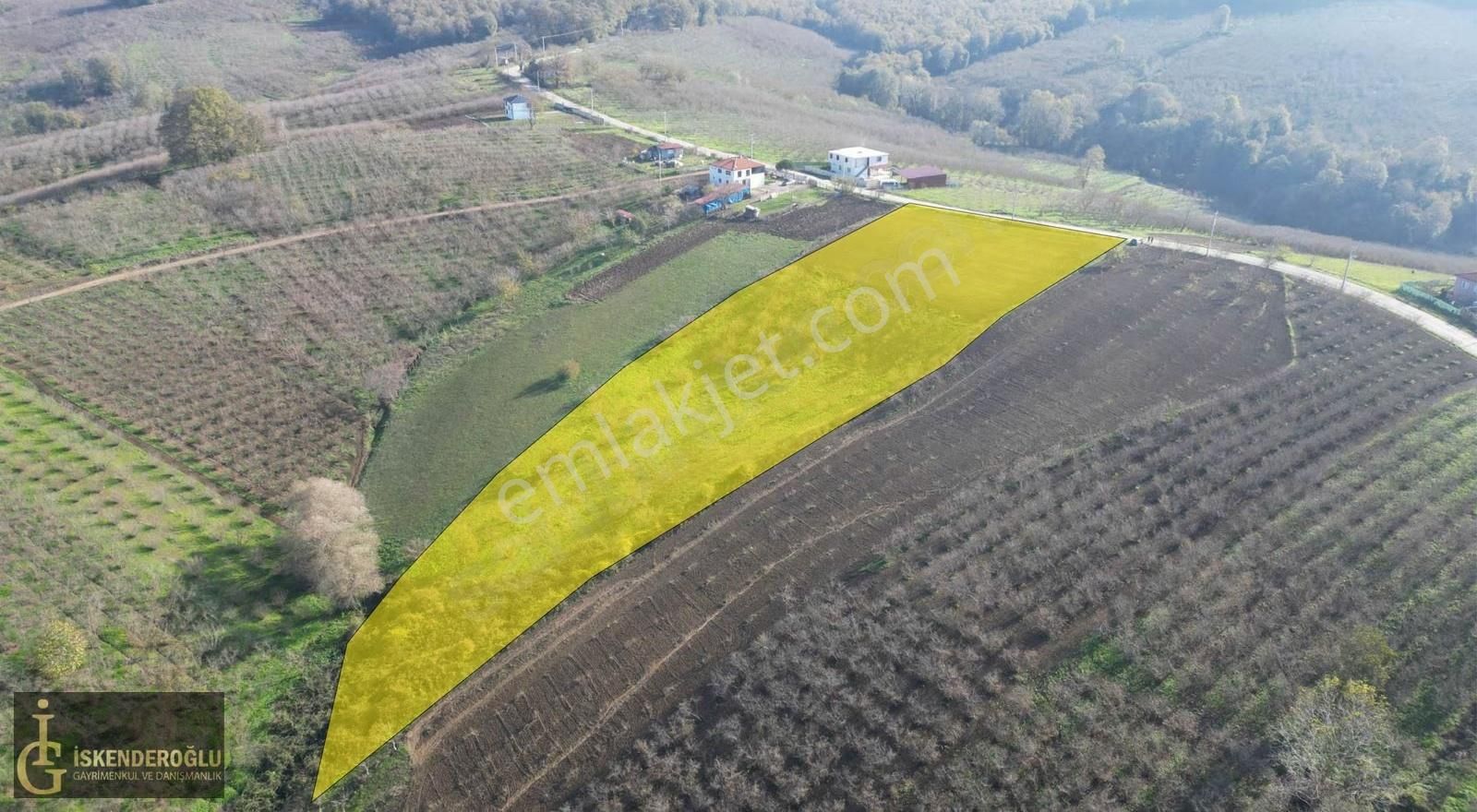 Ferizli Nalköyde Ana Yol Kenarı Satılık Tarla - Görsel 12