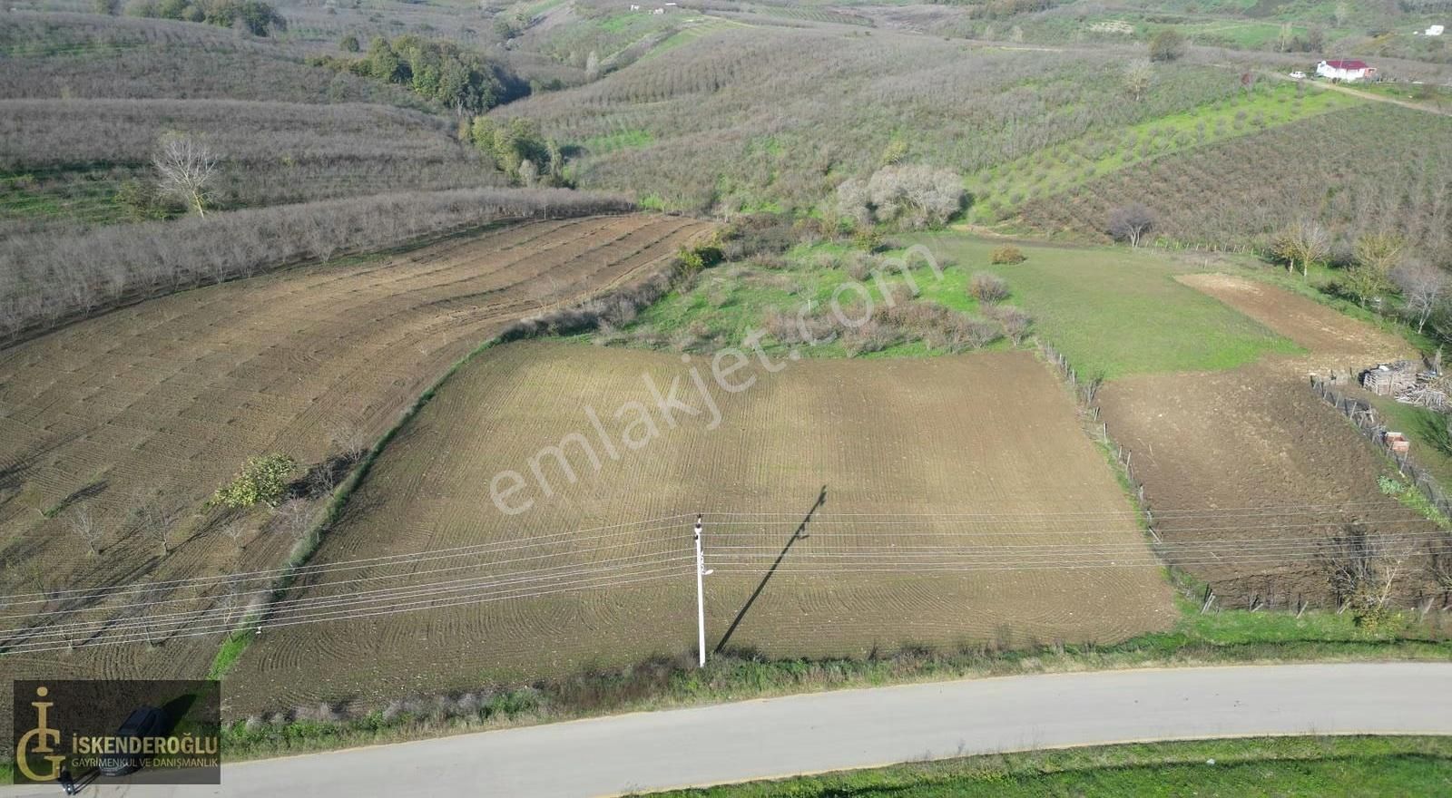 Ferizli Nalköyde Ana Yol Kenarı Satılık Tarla - Görsel 3