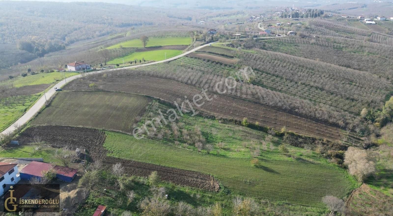 Ferizli Nalköyde Ana Yol Kenarı Satılık Tarla - Görsel 8