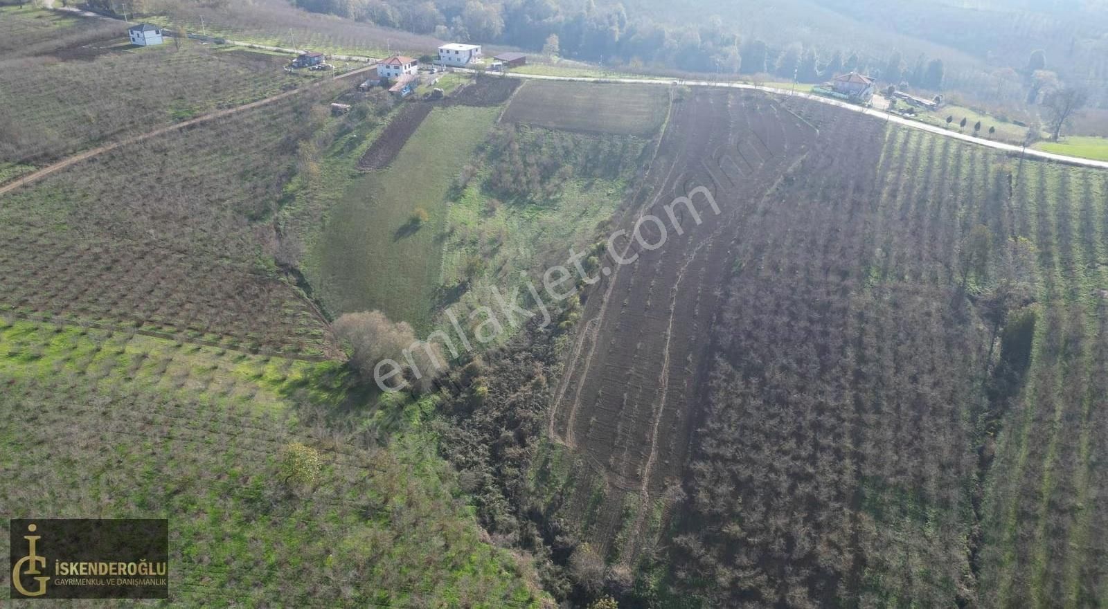 Ferizli Nalköyde Ana Yol Kenarı Satılık Tarla - Görsel 13